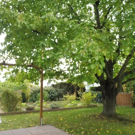 Am Kirschbaum Mommenheim