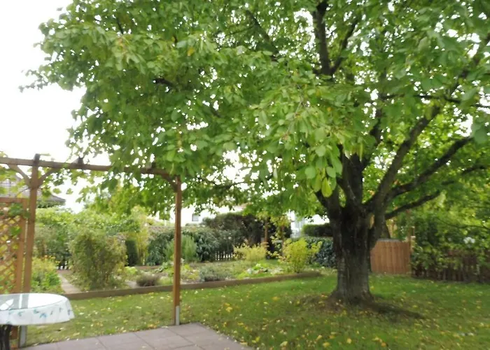 Am Kirschbaum Mommenheim