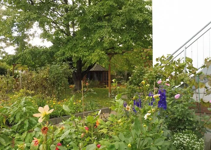 Apartamento Am Kirschbaum *